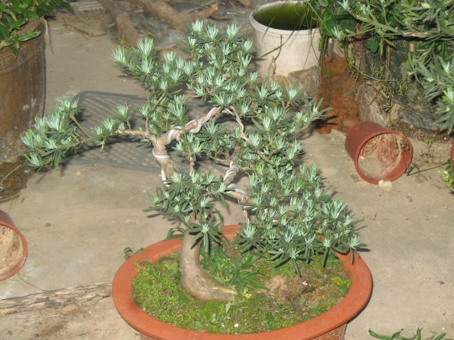 IMG_8162.JPG