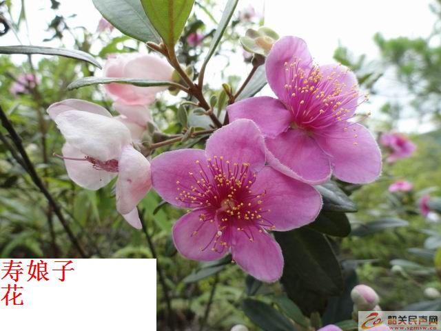 20130627095207198.jpg