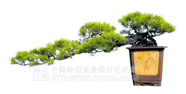 111320m5ieyuyy5k5yl39e[1].jpg