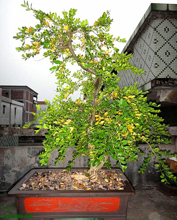 QQͼƬ20140413213832_.jpg