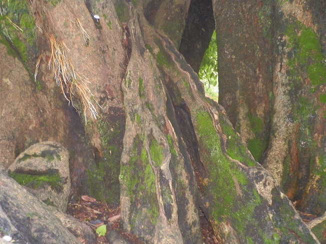 P2230550.JPG