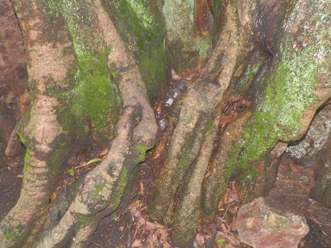 P2230551.JPG