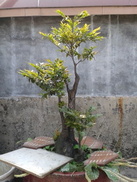 ڹ.jpg