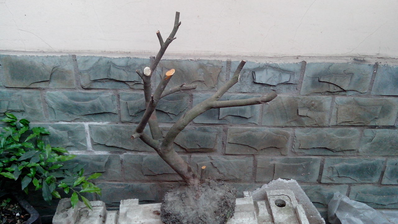 IMG_20140412_184156.jpg