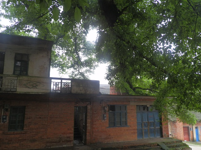 P2230547.JPG