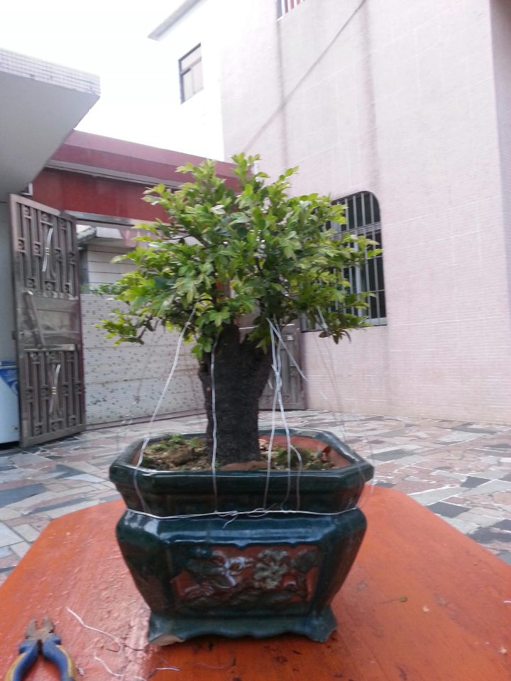 wifi0s0174385057420140414_182237.jpg