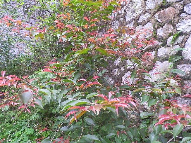 P2250552.JPG