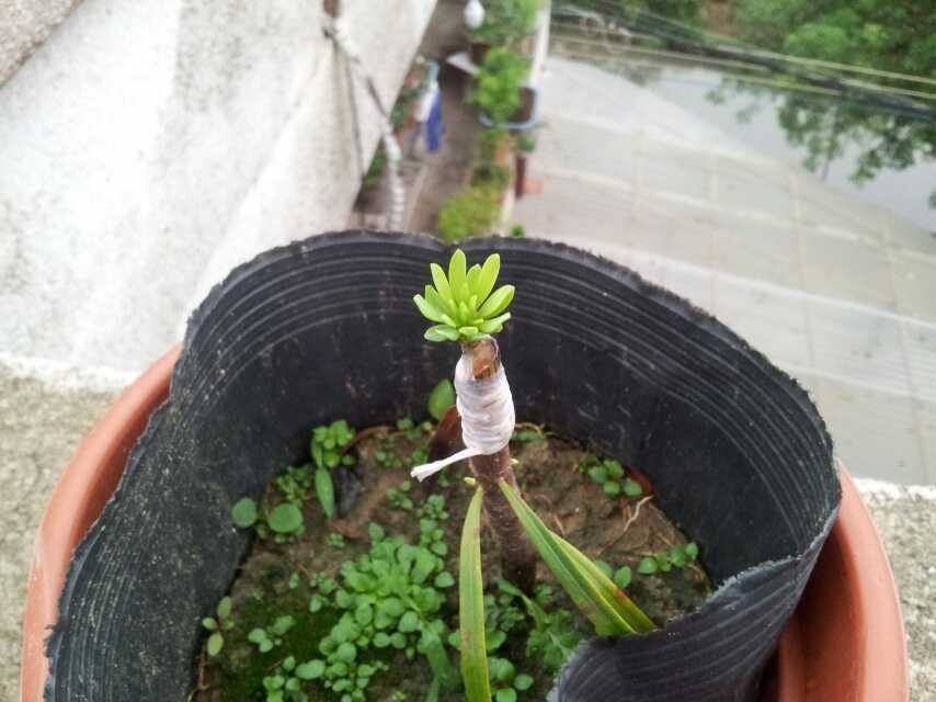 QQͼƬ20140415112952.jpg
