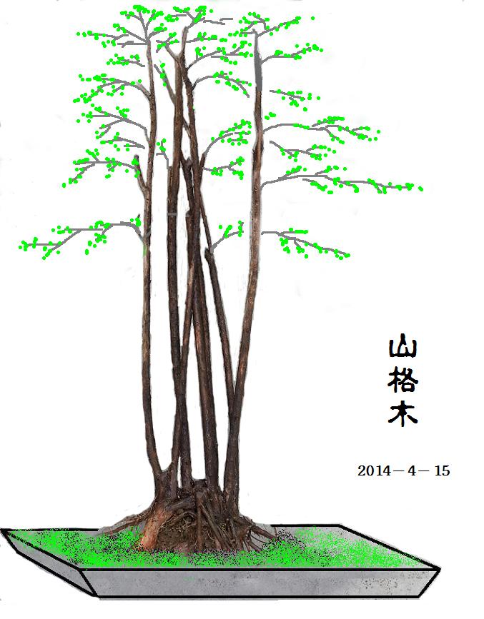 ɽľͼ2014-4-15.jpg
