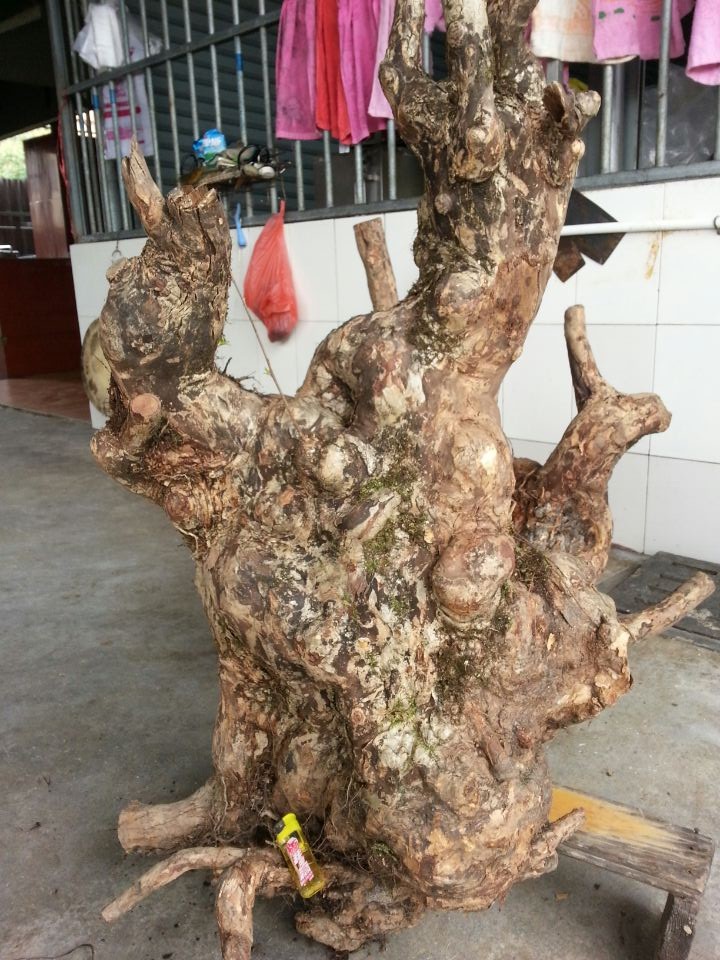 QQͼƬ20140415222206 - .jpg
