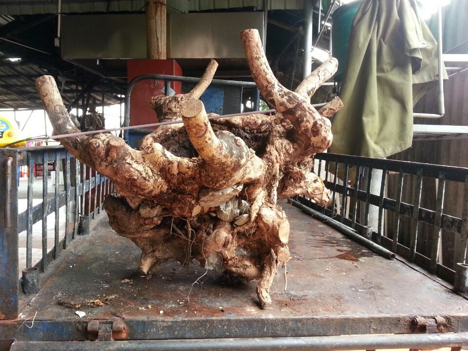 QQͼƬ20140415222234.jpg