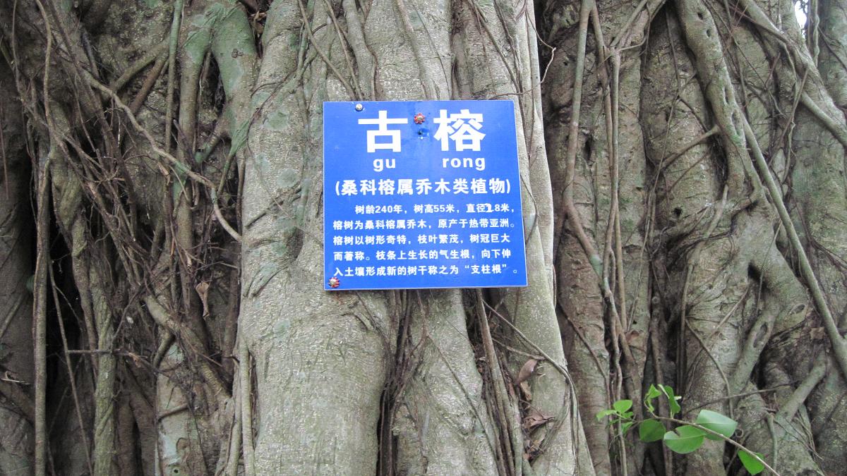IMG_4647.jpg