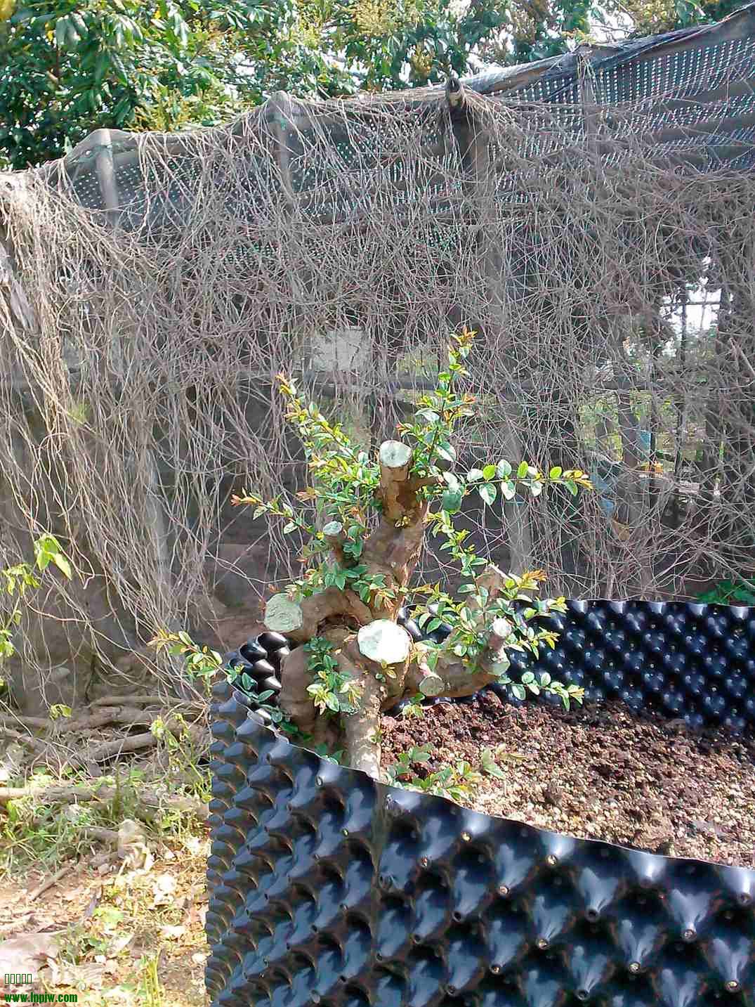 IMG20140415003.jpg