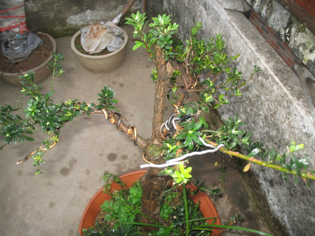 IMG_8205.JPG