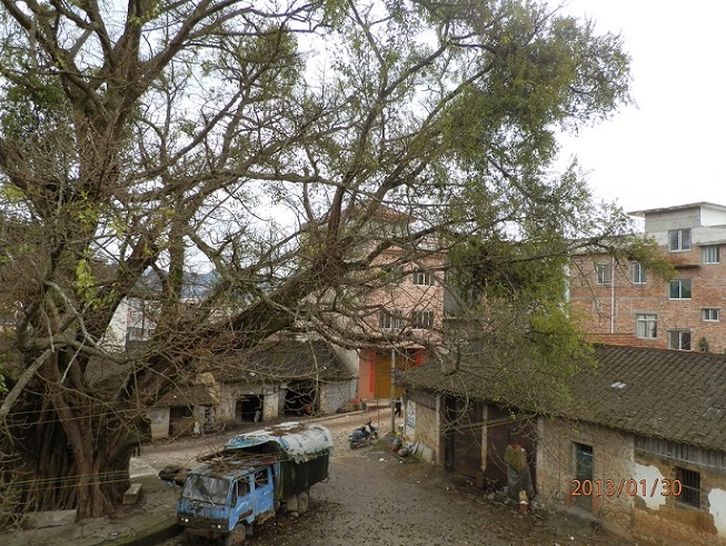 P1300235.JPG