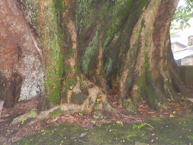 P2230543.JPG