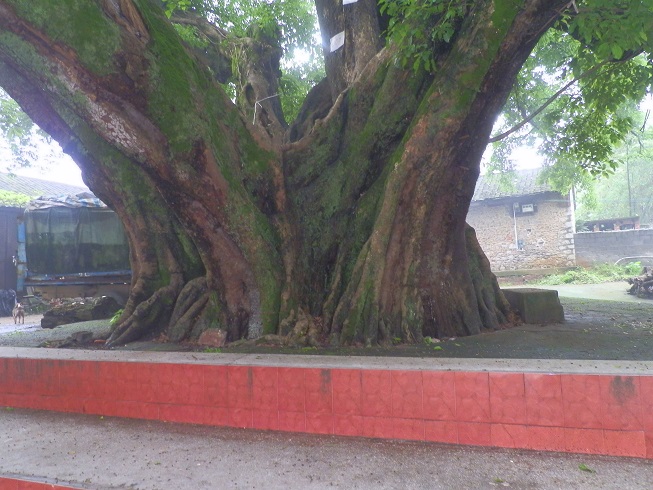 P2230544.JPG