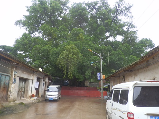 P2260574.JPG