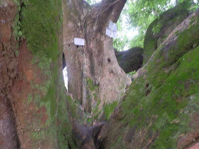 P2260580.JPG