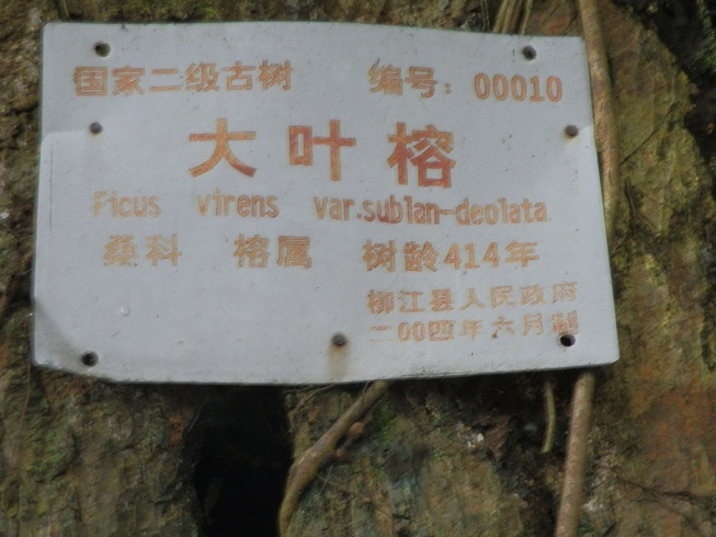 P2260581.JPG