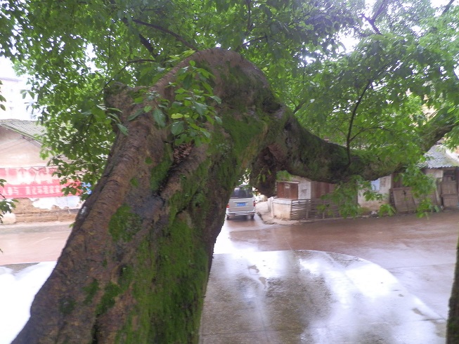 P2260582.JPG