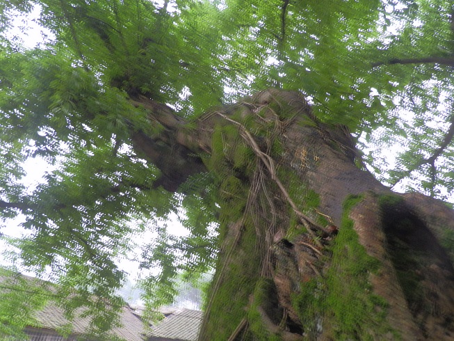 P2260583.JPG