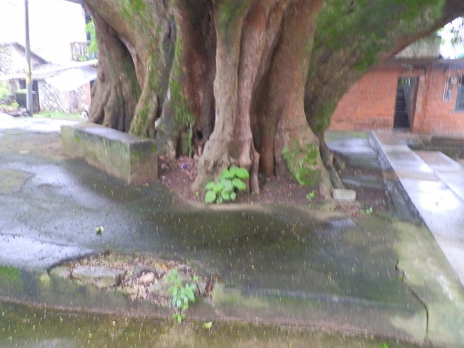 P2260584.JPG