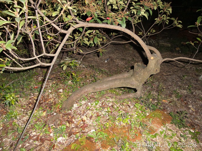 20140410_222837.jpg
