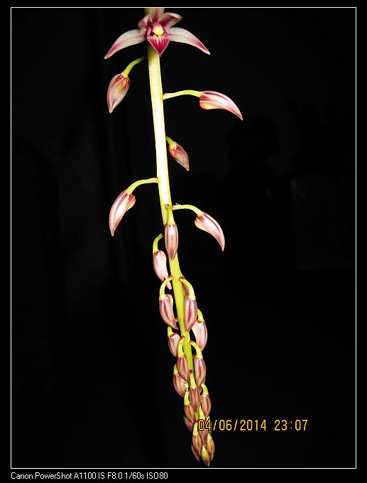 nEO_IMG_IMG_3400.jpg