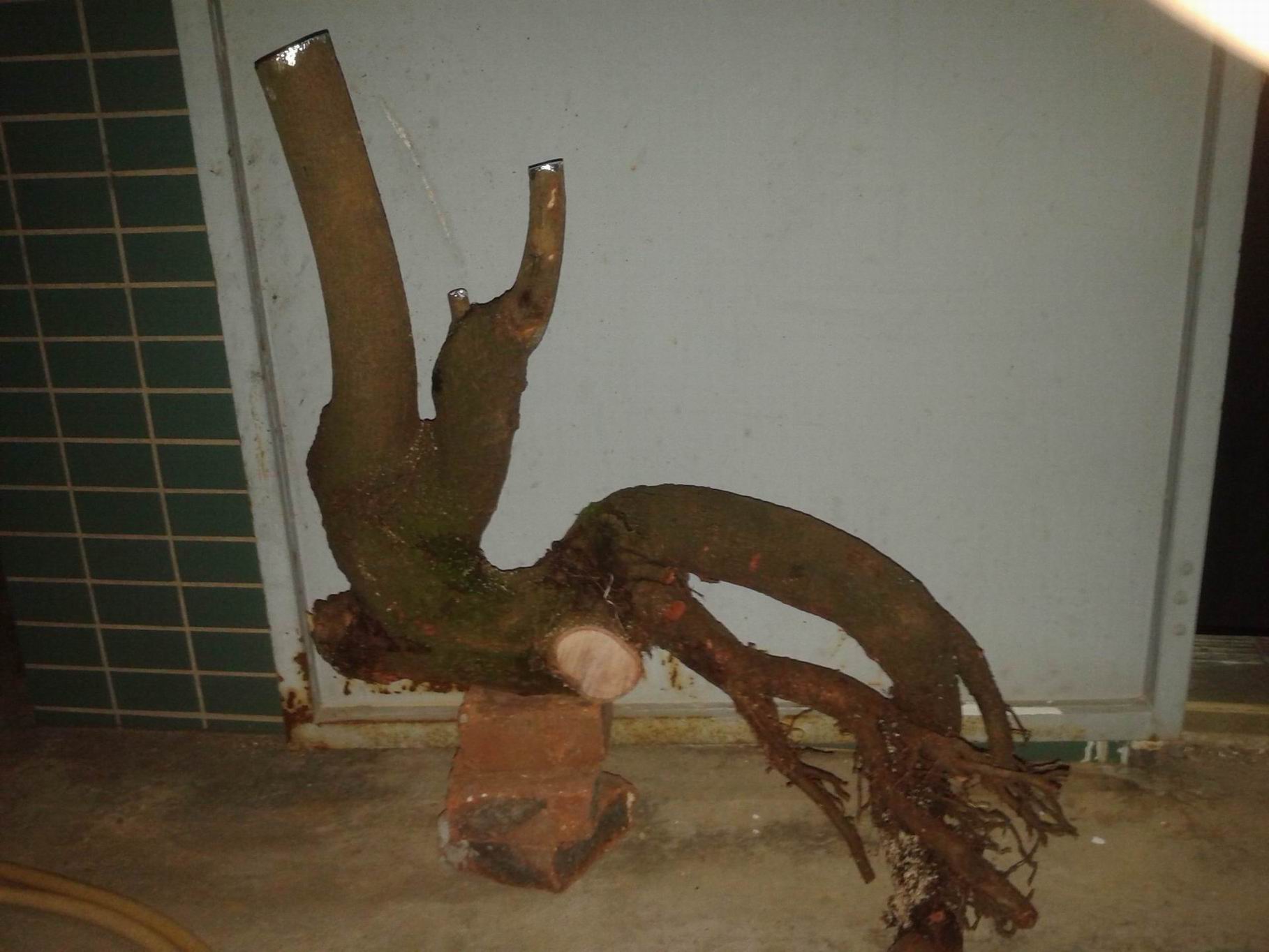 20140415_204929.jpg
