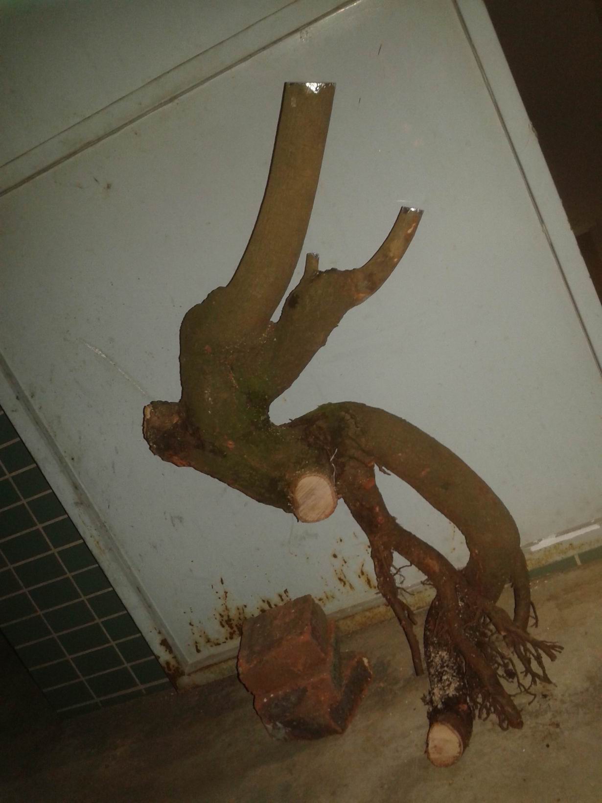 20140415_205142.jpg