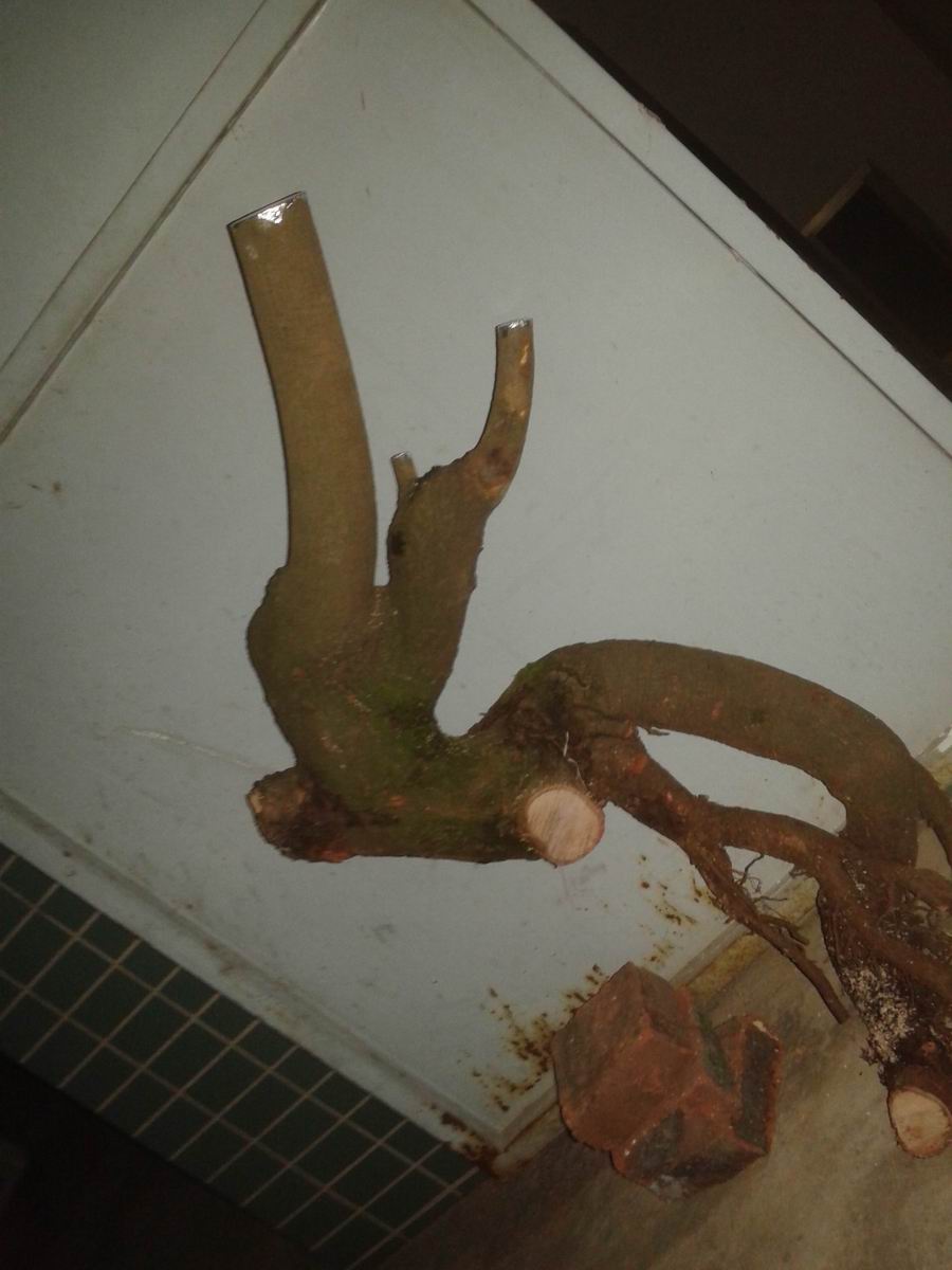 20140415_205233.jpg