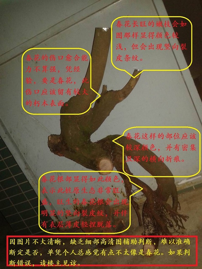 ж.jpg
