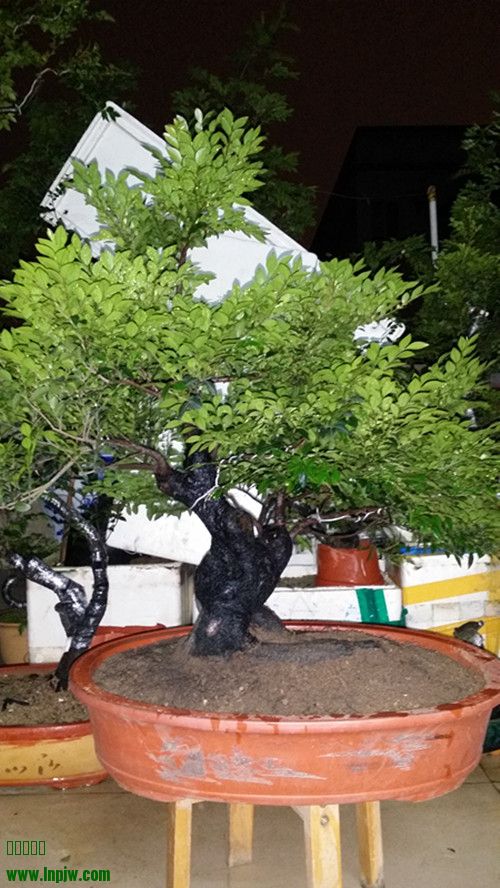 20140415_214736_.jpg