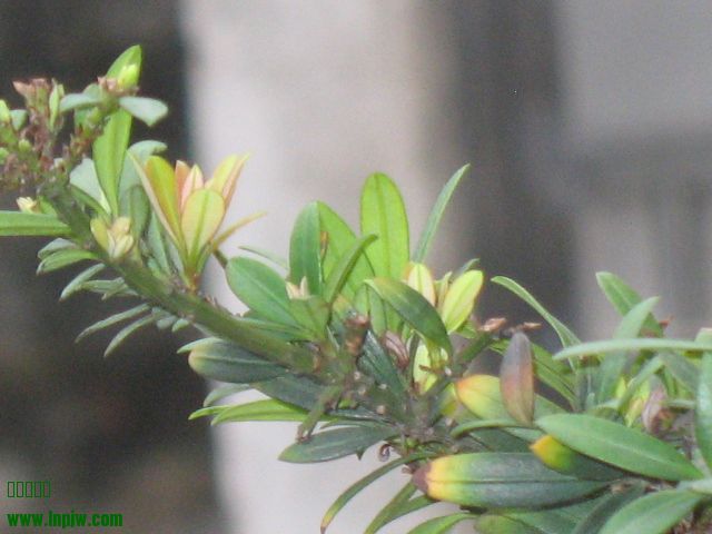 IMG_8214.JPG