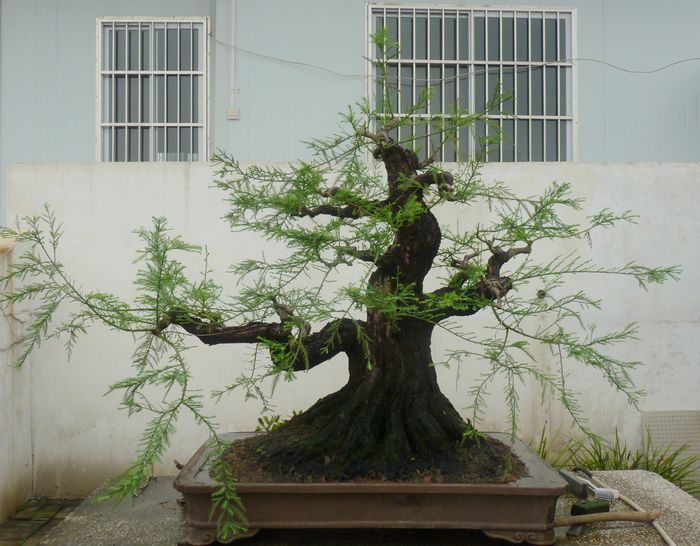 P1050041.JPG