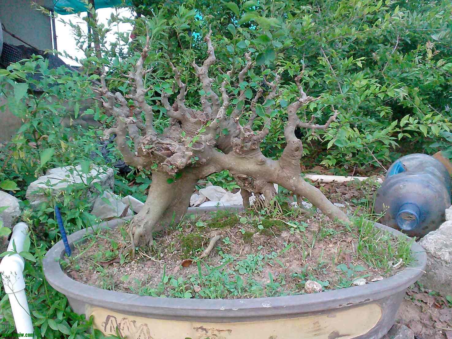 IMG20140418003.jpg