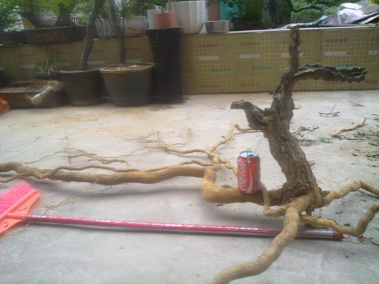 201404191672.jpg
