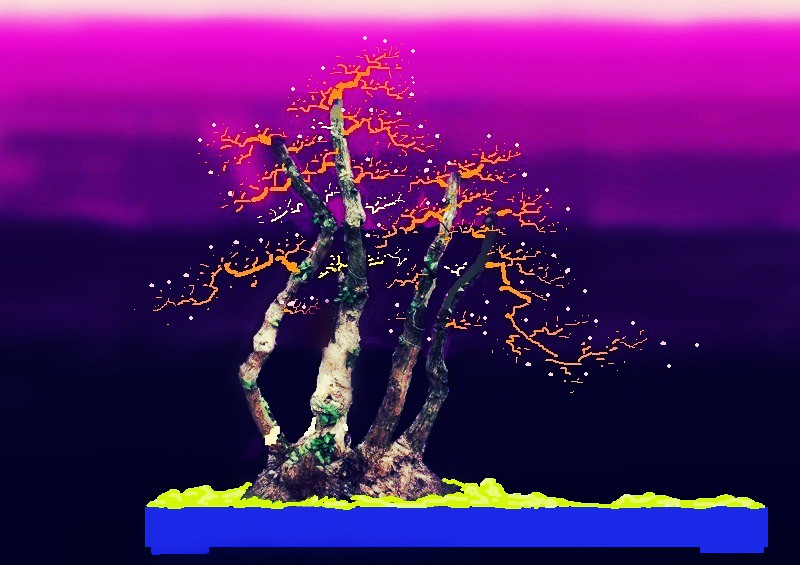 ̤ƶ--111A21360ͼ20140414161835055 -  -  - _ -  (2.jpg