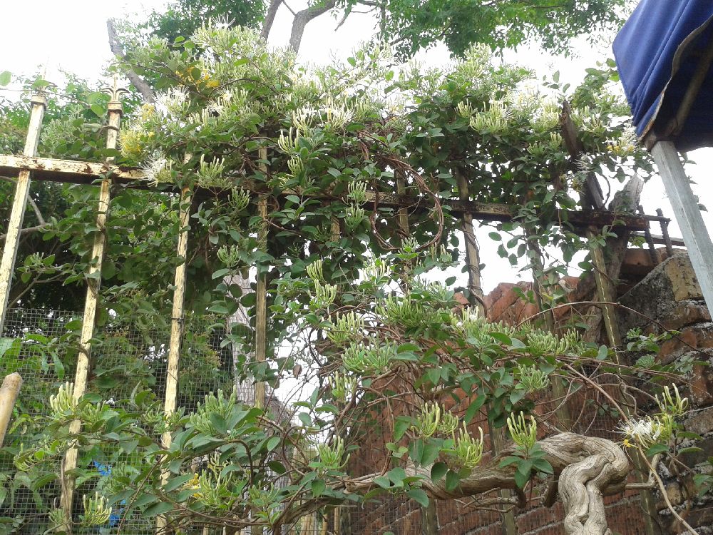 s1000_2014-04-19 08.51.35.jpg