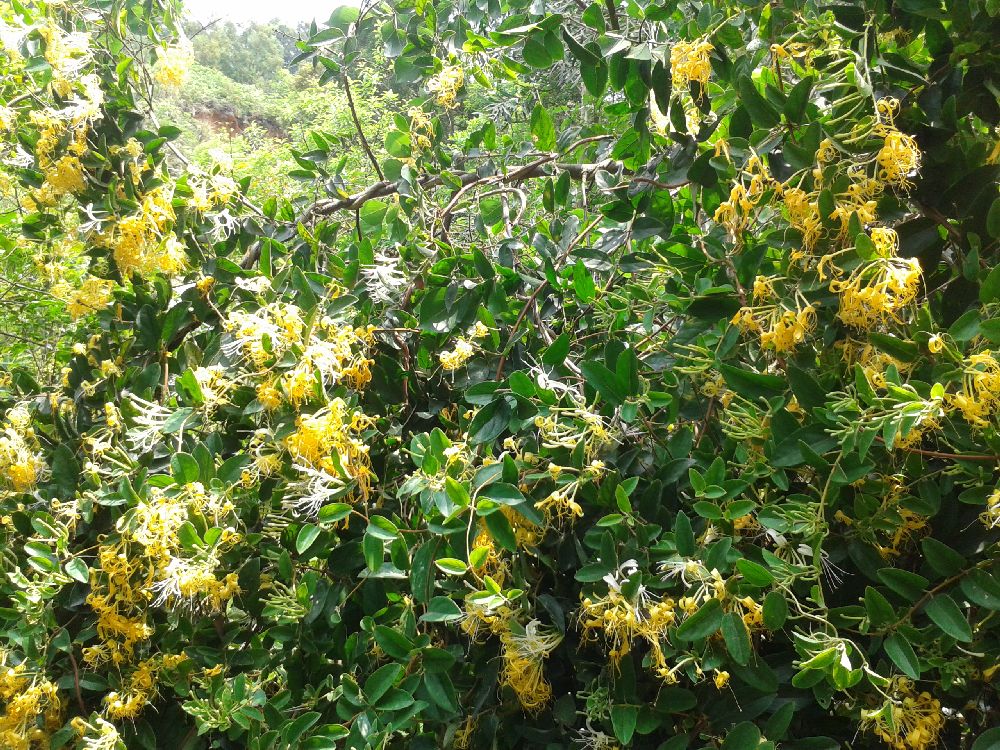s1000_2014-04-19 13.02.55.jpg