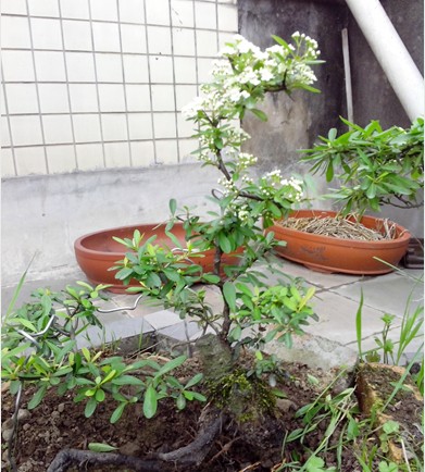 QQͼƬ20140420212518.jpg