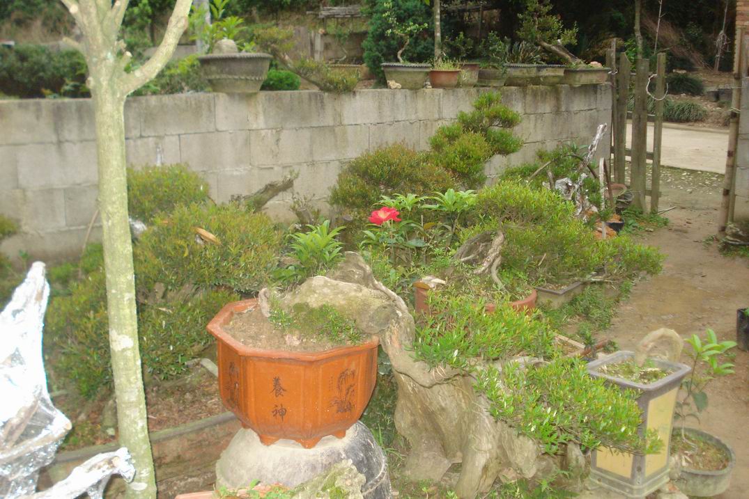 С DSC03494.JPG