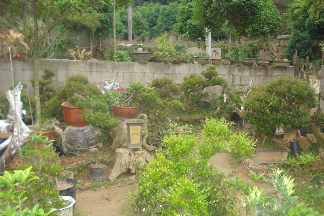 С DSC03496.JPG