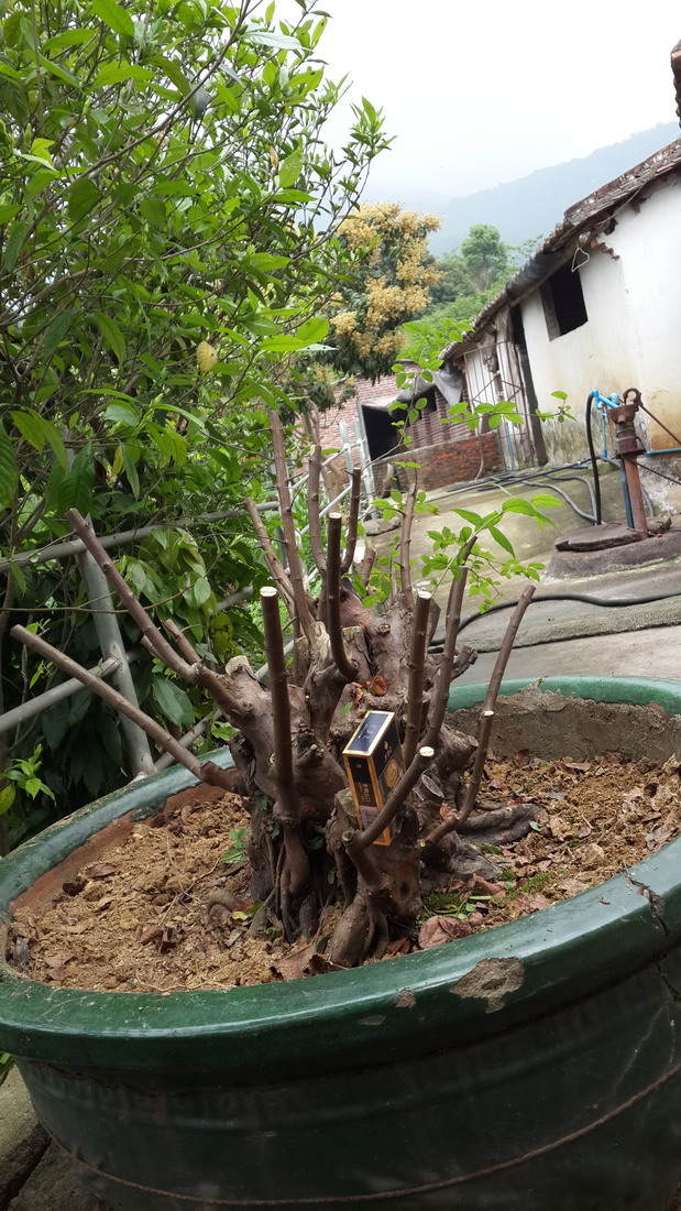 20140417_105757.jpg