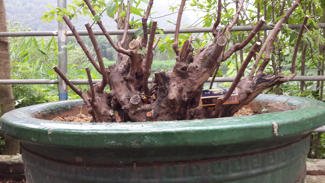 20140417_105900.jpg