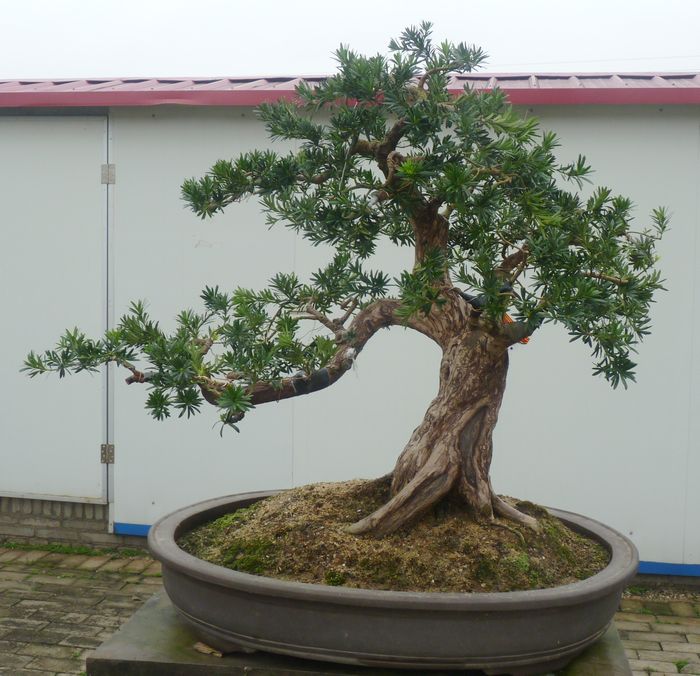 P1050048.JPG
