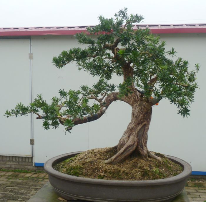 P1050049.JPG
