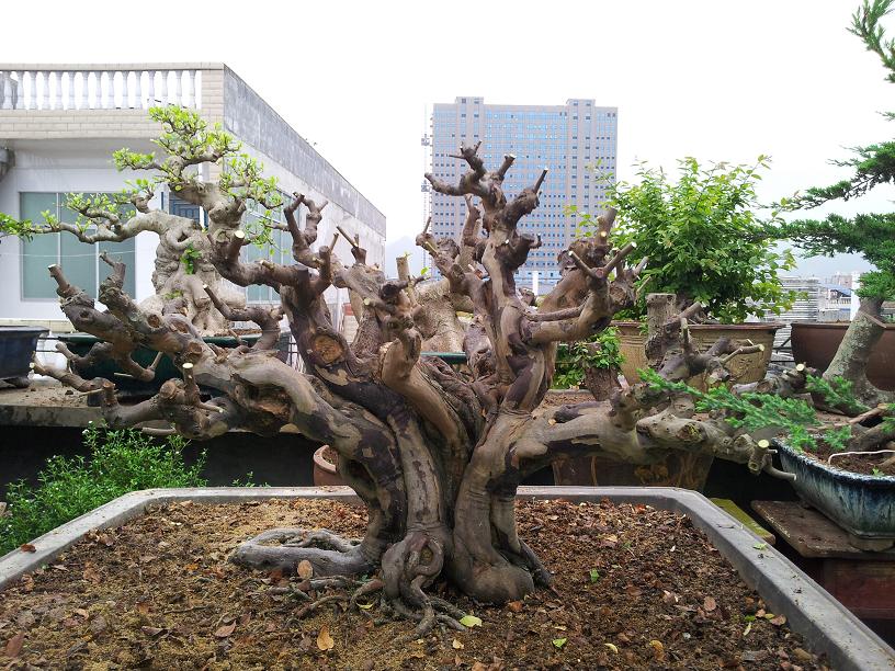 20140420_16474602.JPG