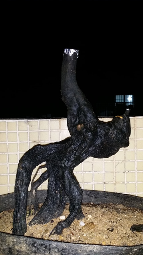 20140421_233218_.jpg